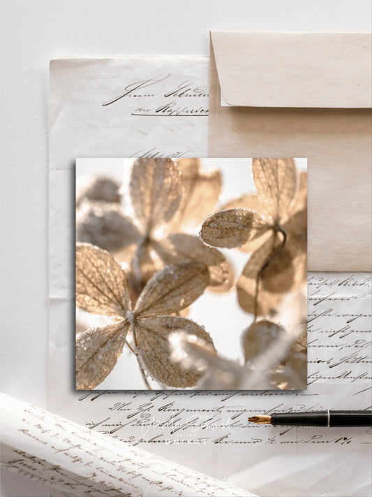 Von edler Art Hortensienzauber