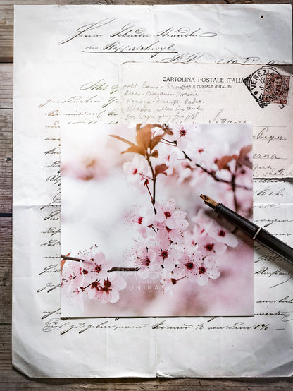 Von edler Art  Rosea