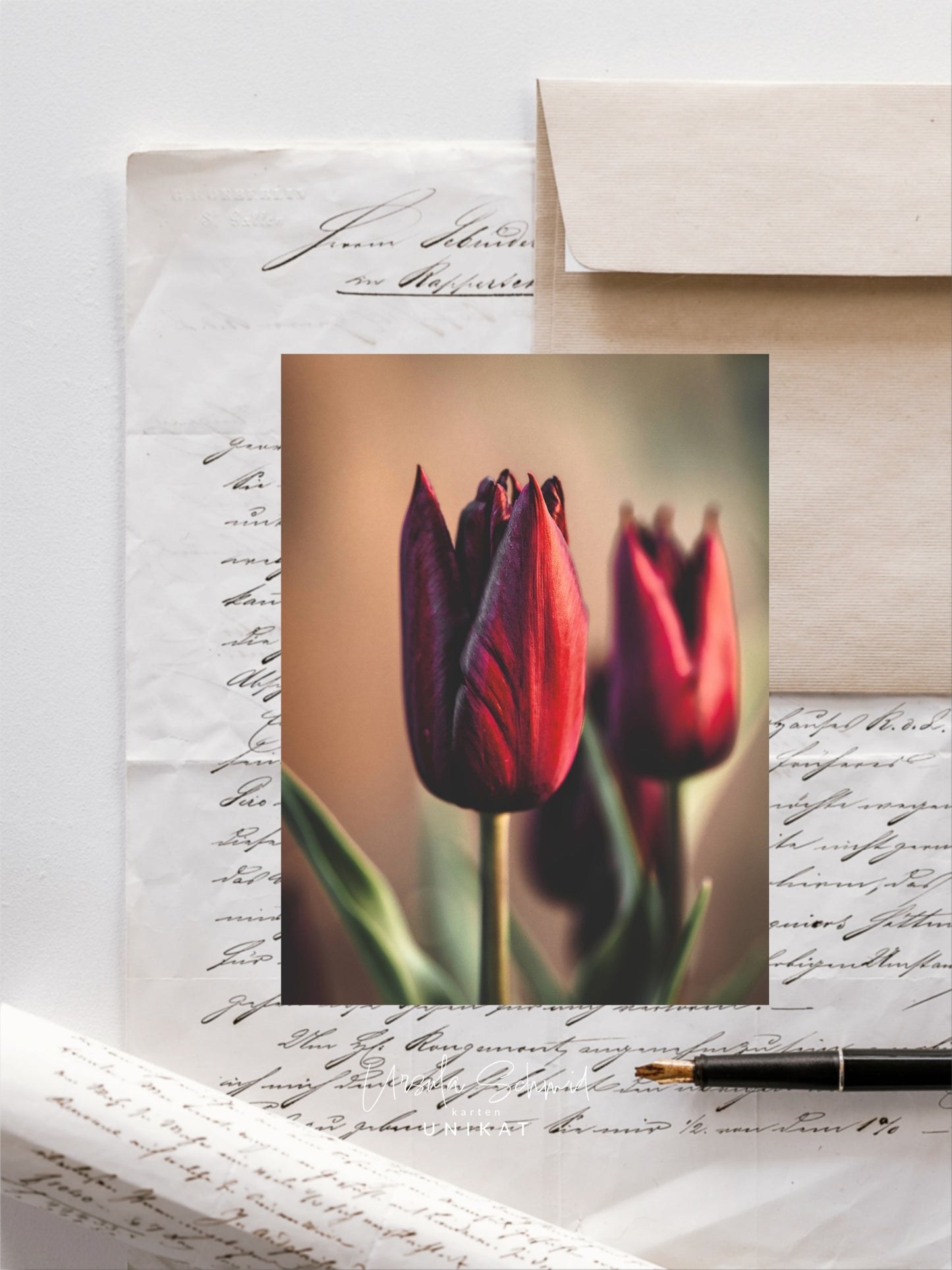 Postkarte Tulpenblüte