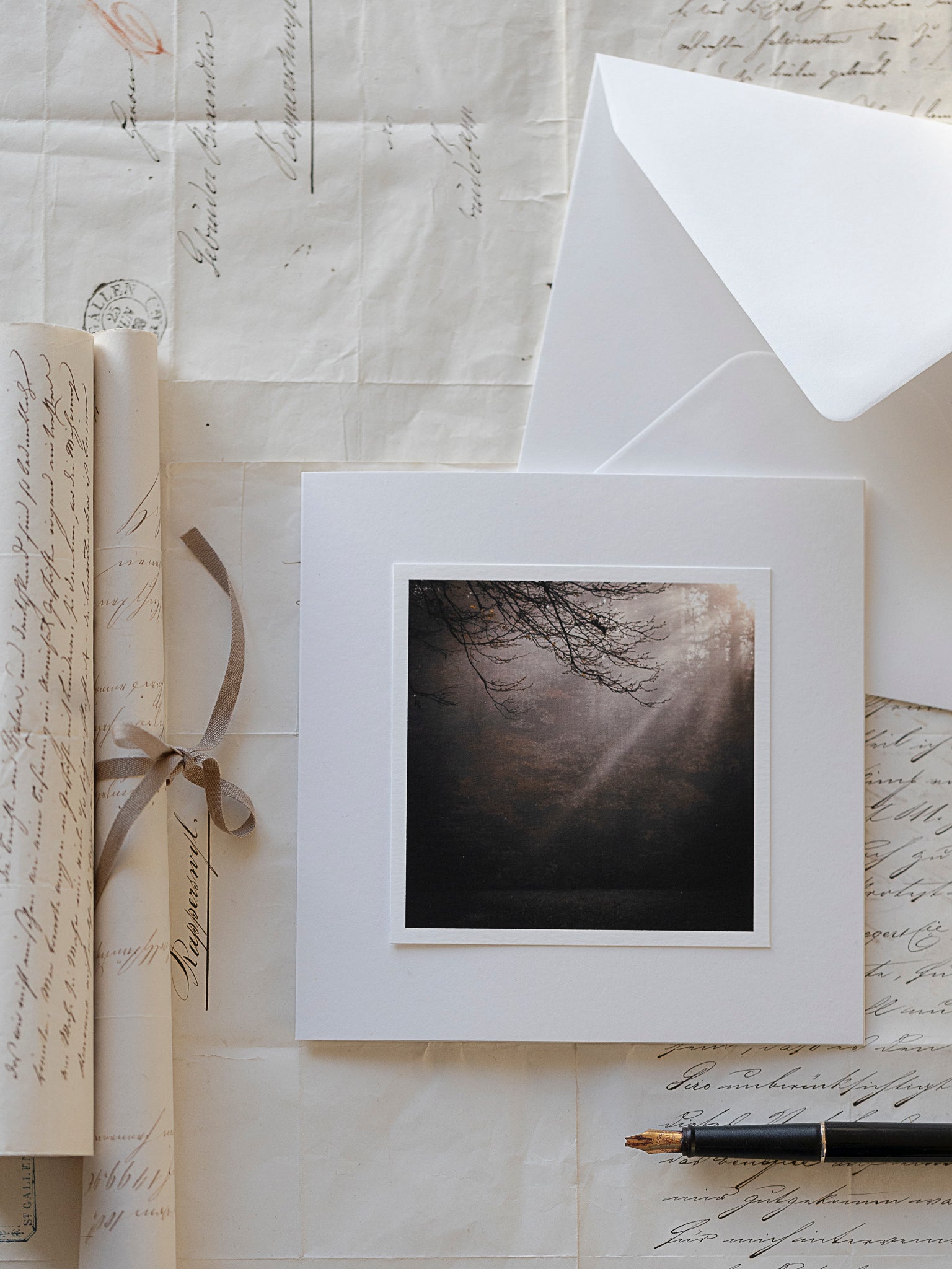 Trauerkarte mit Waldmotiv und Lichtstrahlen – einfühlsame Beileidskarte matt gedruckt mit Einlegeblatt