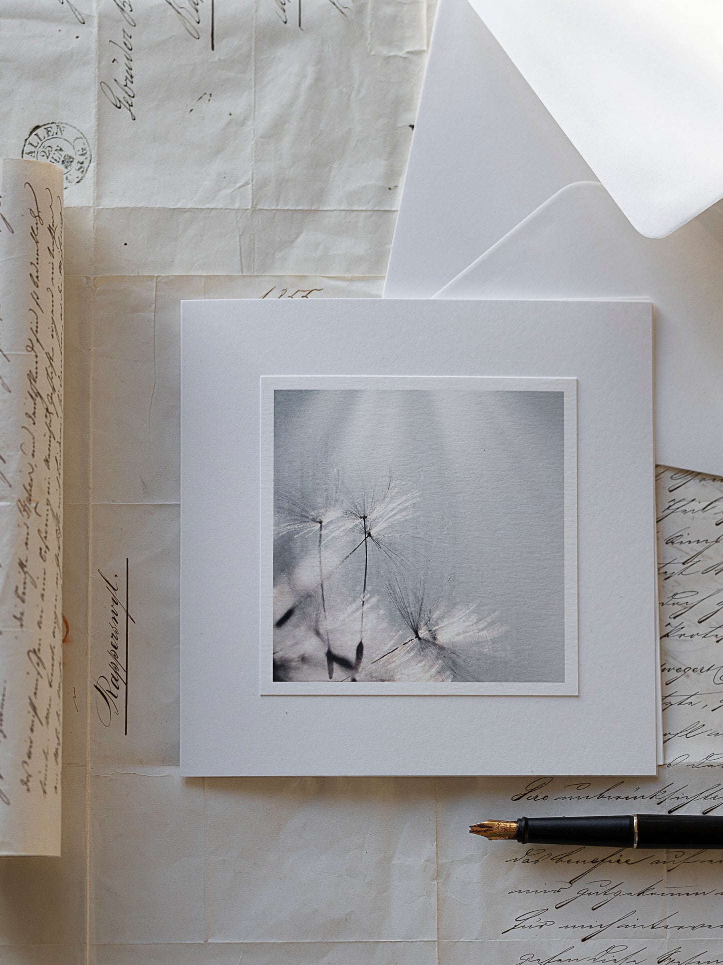 Zarte Pusteblumen im Wind – Trauerkarte Hoffnungszart mit Einlegeblatt und Textvorlage