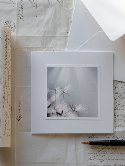 Zarte Pusteblumen im Wind – Trauerkarte Hoffnungszart mit Einlegeblatt und Textvorlage