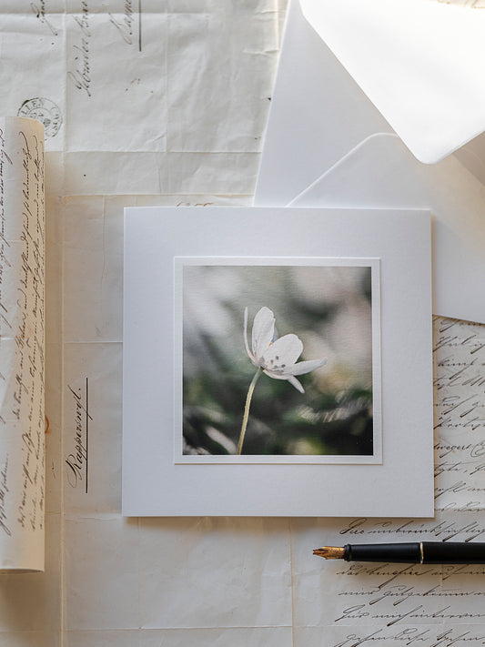 Weiße Windröschen Blüte auf Trauerkarte – handgefertigte Beileidskarte mit Einlegeblatt und Textvorlage