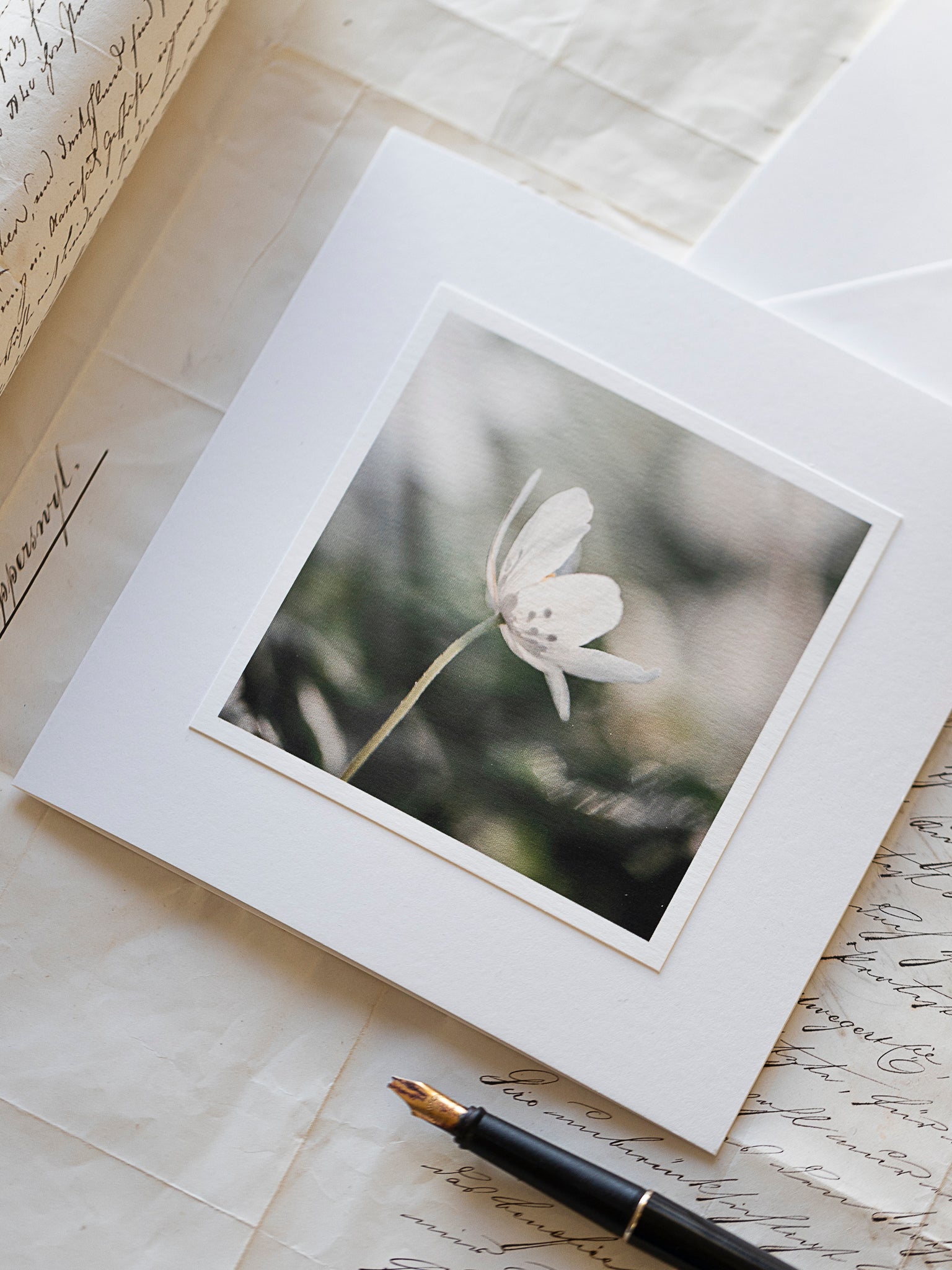 Trauerkarte Windröschen – einfühlsame Beileidskarte mit zartem Naturfoto auf Hahnemühle Papier