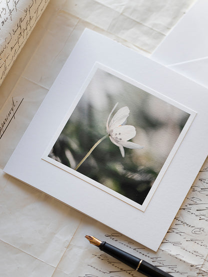 Trauerkarte Windröschen – einfühlsame Beileidskarte mit zartem Naturfoto auf Hahnemühle Papier