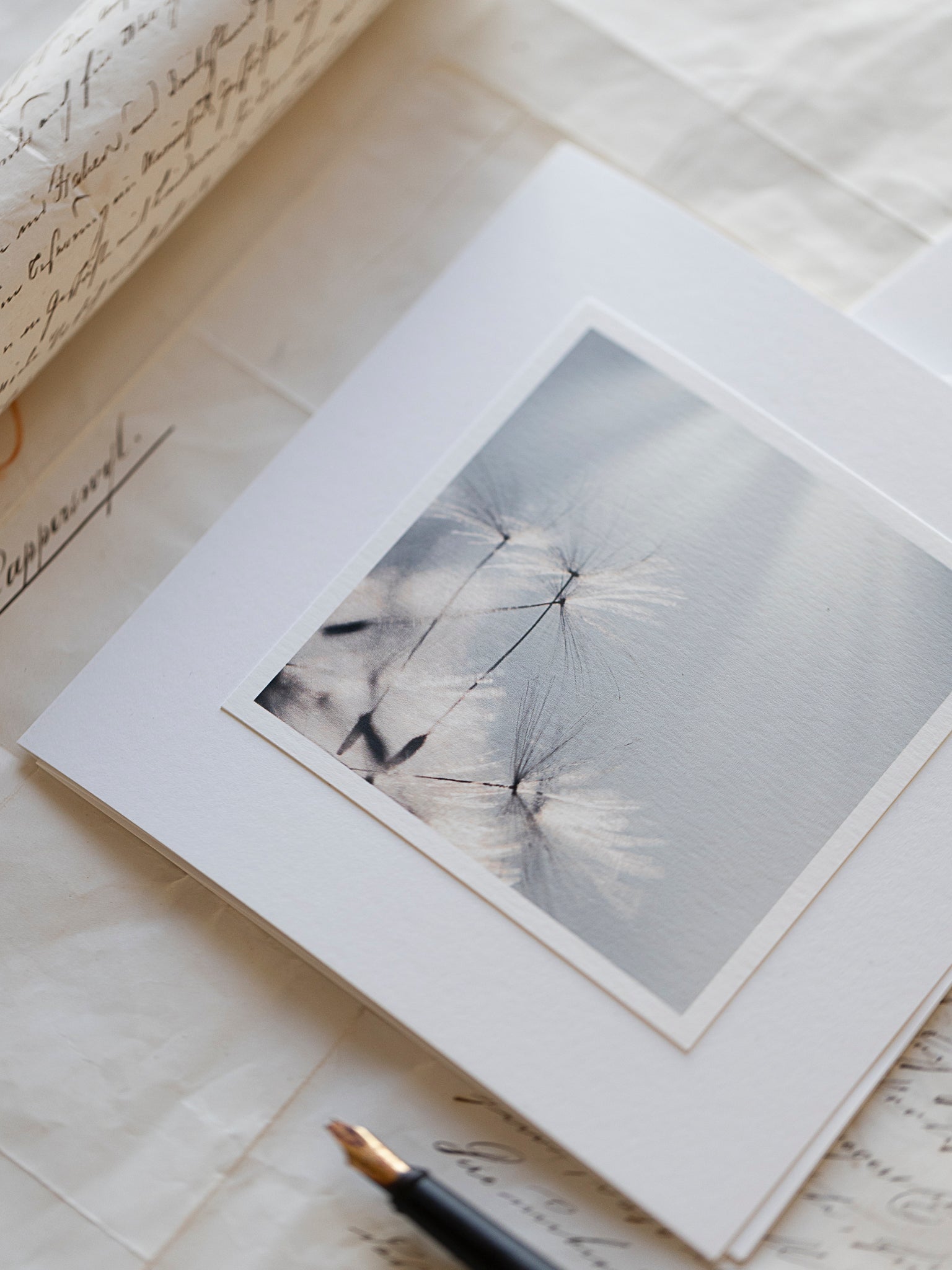 Trauerkarte Hoffnungszart – einfühlsame Beileidskarte mit Pusteblumen-Foto auf Hahnemühle Papier