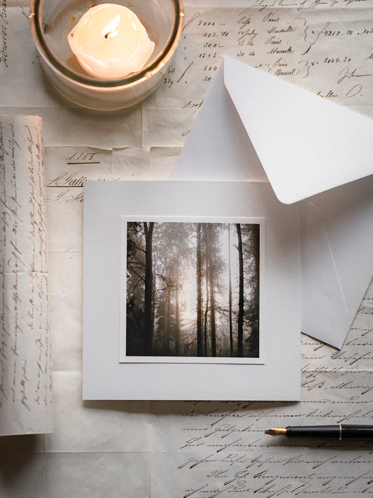 Trauerkarte mit Lichtstrahlen im Wald – einfühlsame Beileidskarte matt gedruckt mit Einlegeblatt