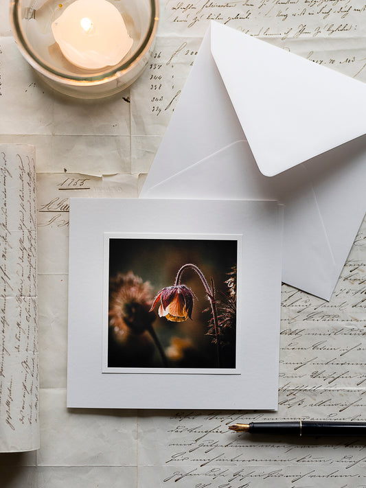 Trauerkarte mit zarter Bachnelkenwurz-Blüte – würdevolle Beileidskarte mit Textvorlage, handverarbeitet CH