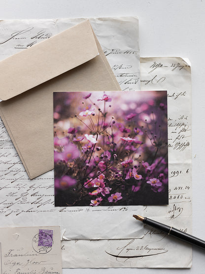 Von edler Art Anemonen
