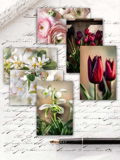 Frühlingstanz Postkarten-Set