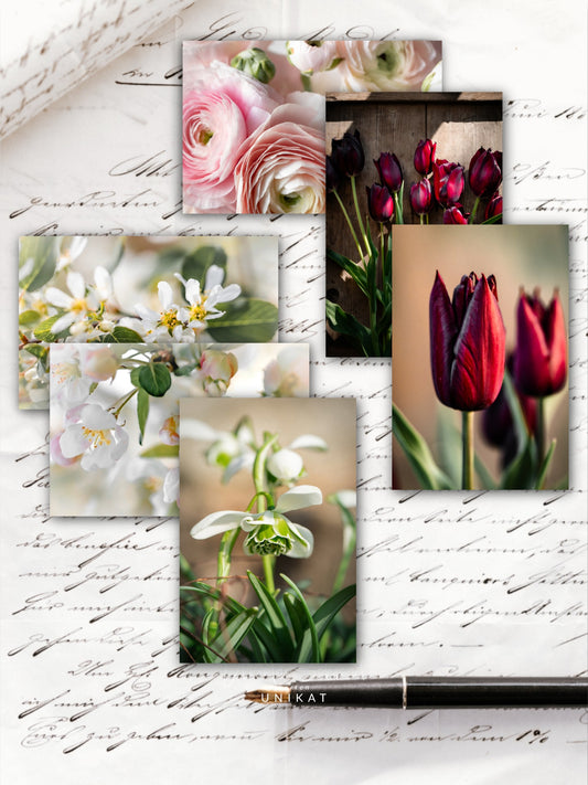 Frühlingstanz Postkarten-Set