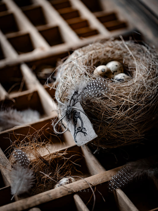 Vogelnestli zart und flauschig
