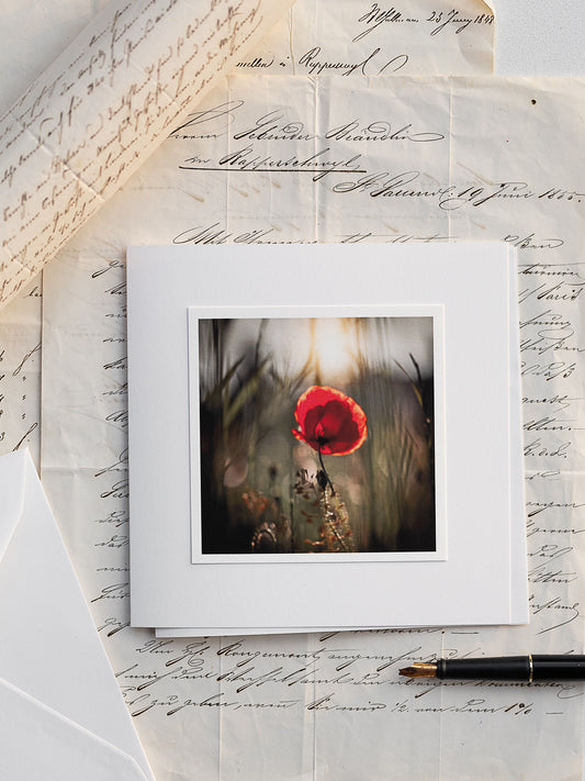 Zarte rote Mohnblume im goldenen Licht – einfühlsame Trauerkarte aus eigener Naturfotografie, handgefertigt