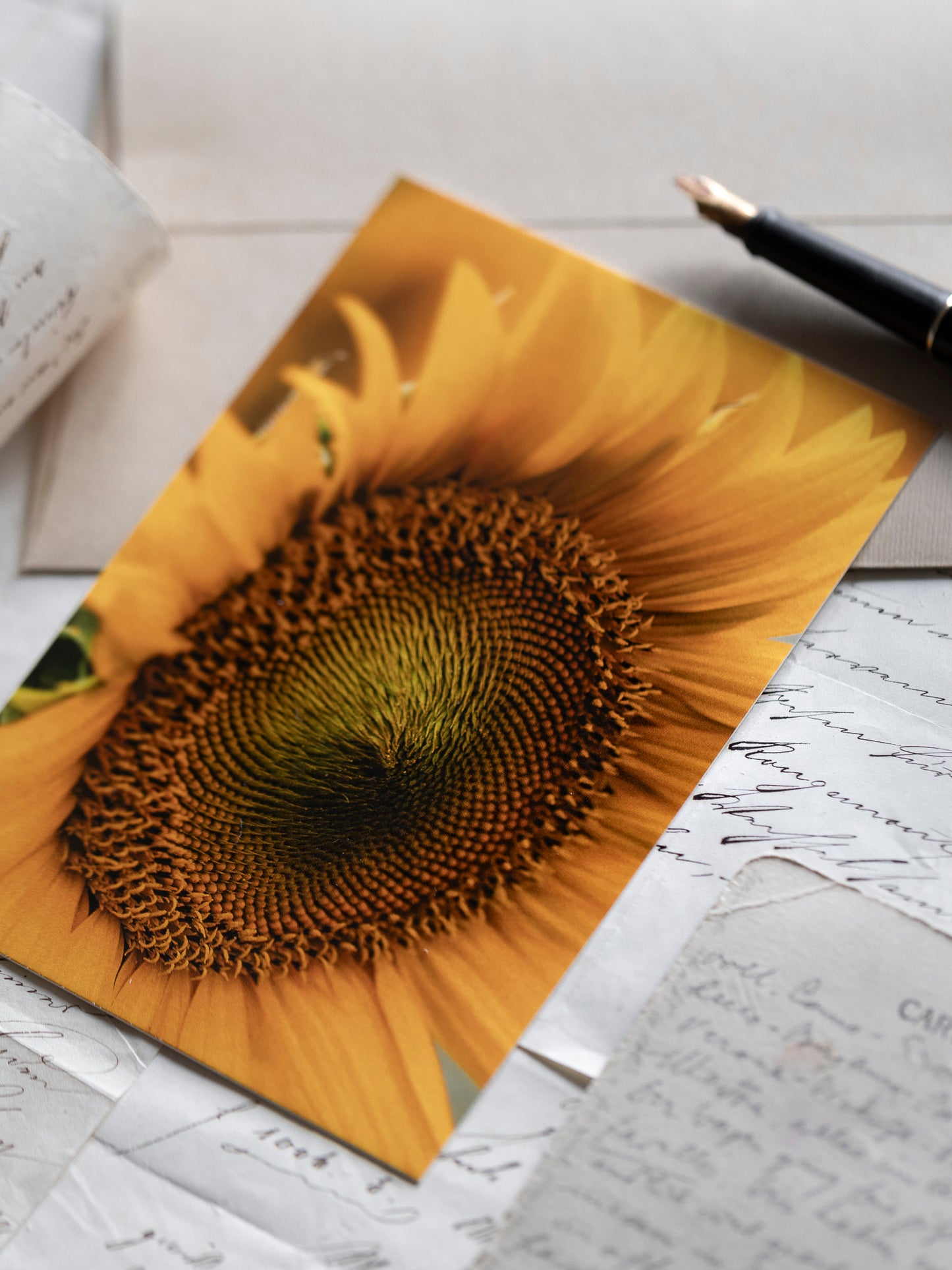 Postkarte Sonnenblume