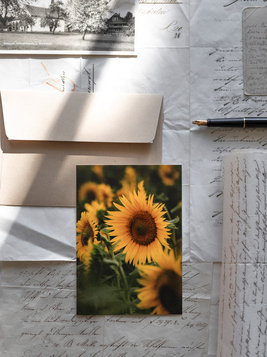 Postkarte Sonnenblumenfeld