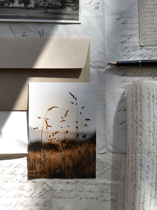 Postkarte Spätsommer Grashalme
