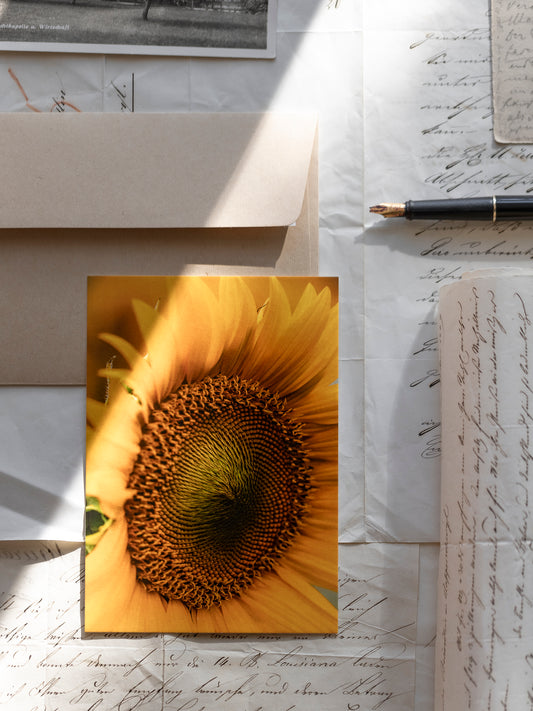 Postkarte Sonnenblume