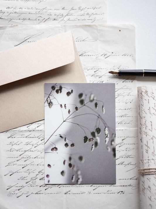 Postkarte Zittergras