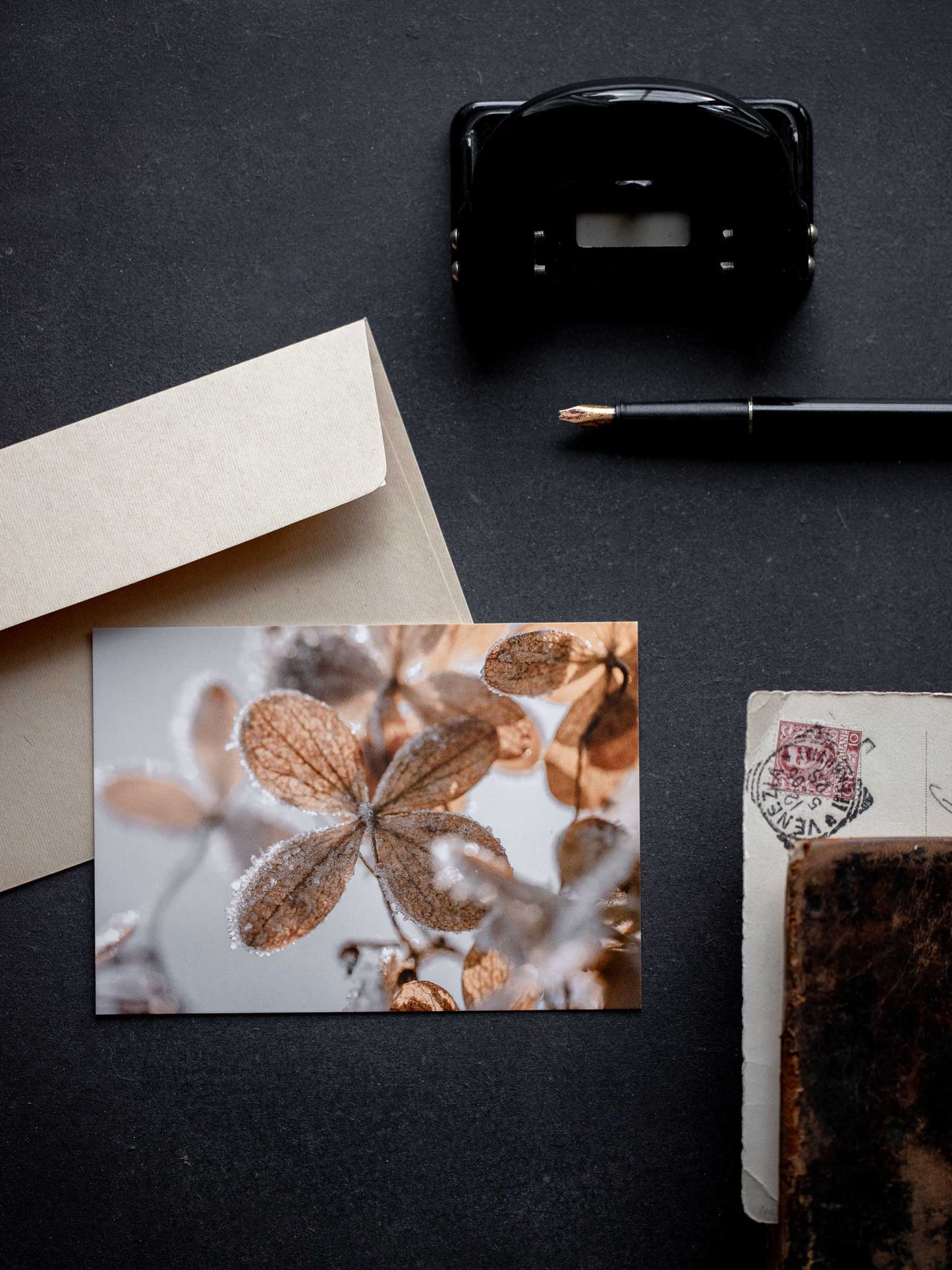 Postkarte Herbsthortensie