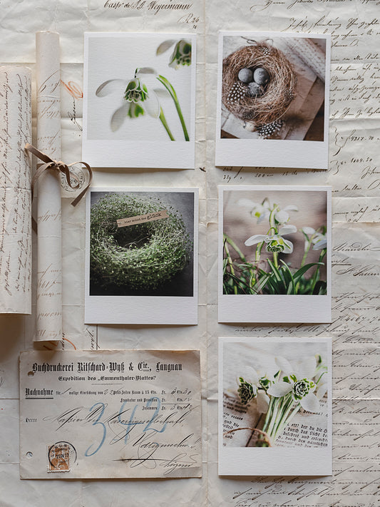 Die kleinen Feinen Schneeglögglizart