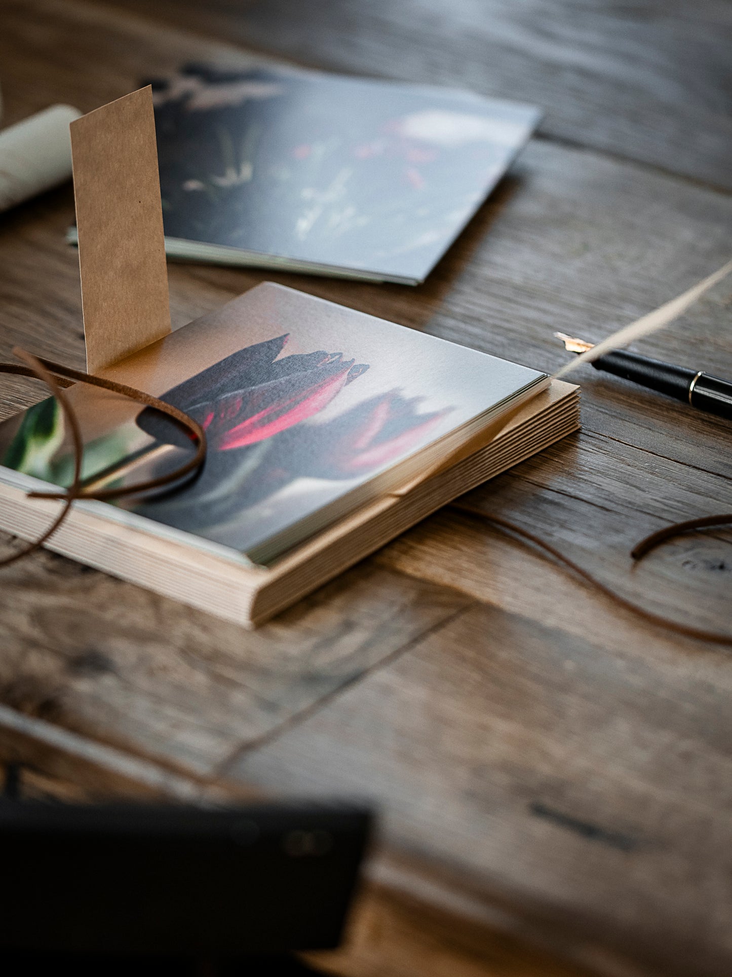 Postkarte Tulpenblüte