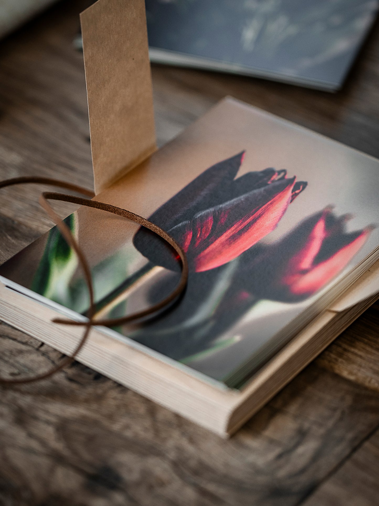 Postkarte Tulpenblüte