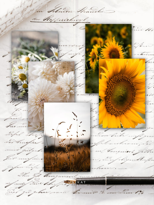 Sommerglück Postkartenset