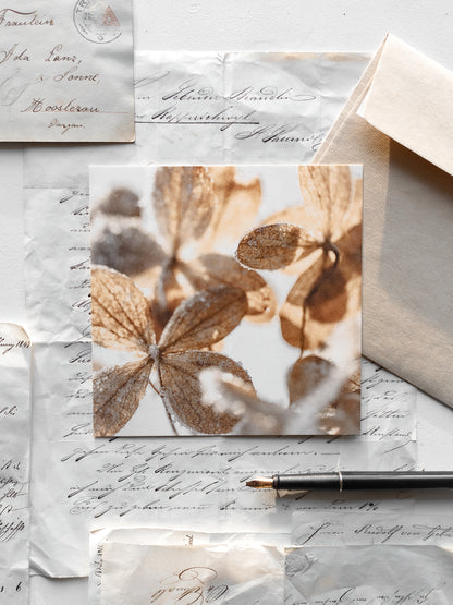 Von edler Art Winterzauber Kartenset