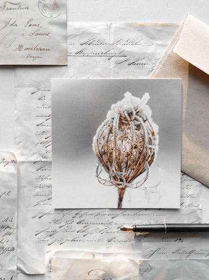 Von edler Art Winterzauber Kartenset