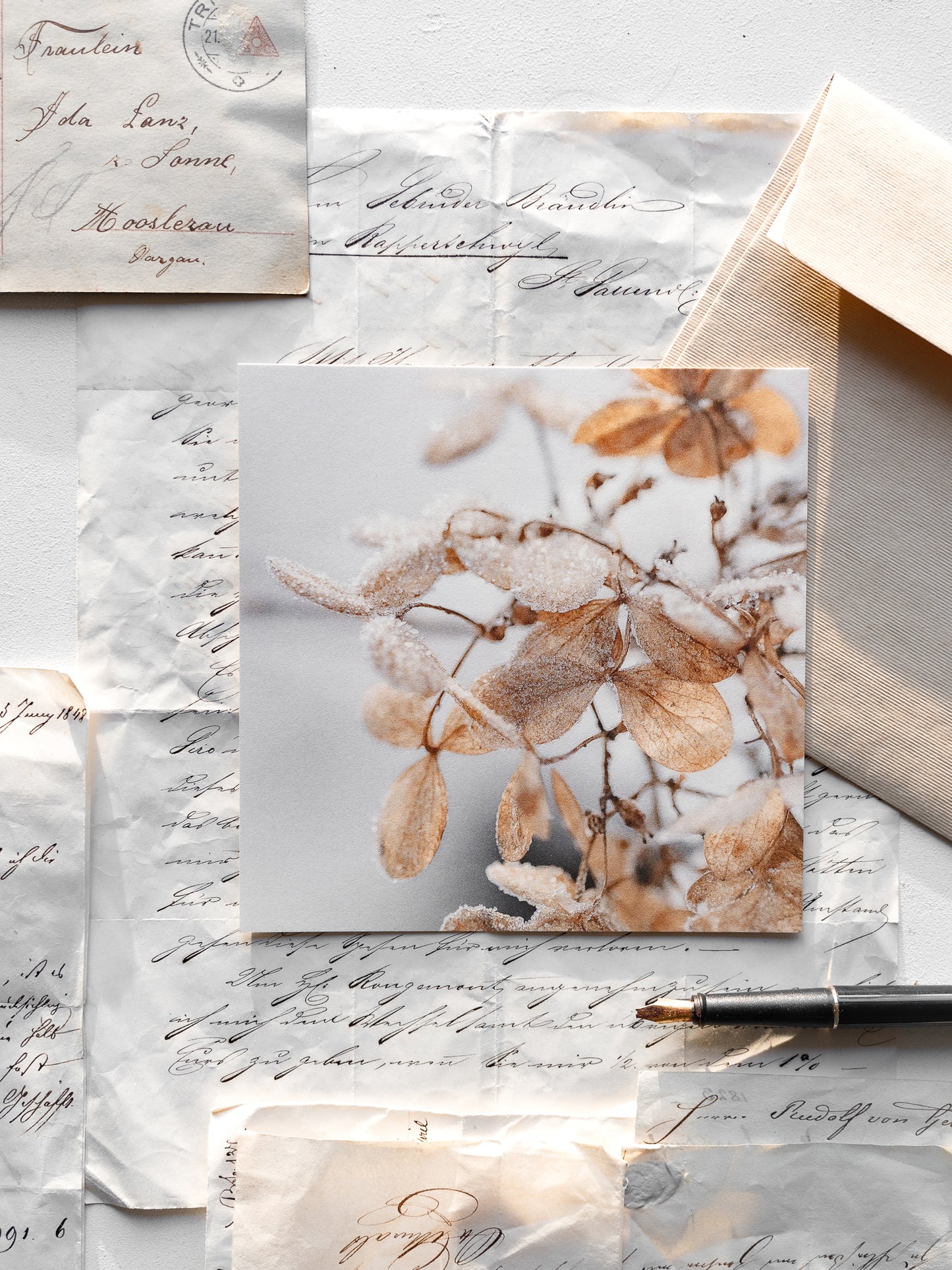 Von edler Art Winterzauber Kartenset