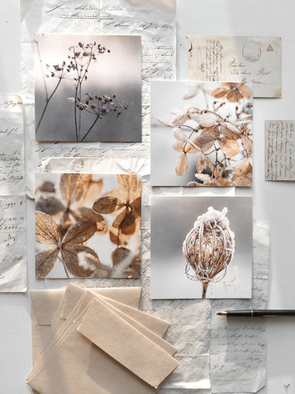 Von edler Art Winterzauber Kartenset