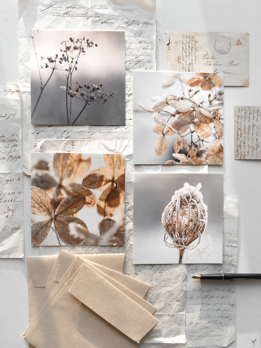 Von edler Art Winterzauber Kartenset