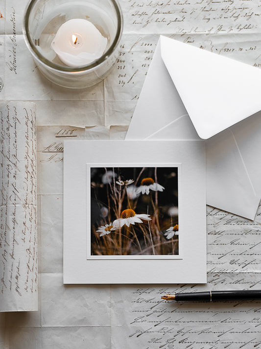 Einfühlsame Trauerkarte mit Sonnenhut-Motiv, 15x15cm Klappkarte mit Einlegeblatt