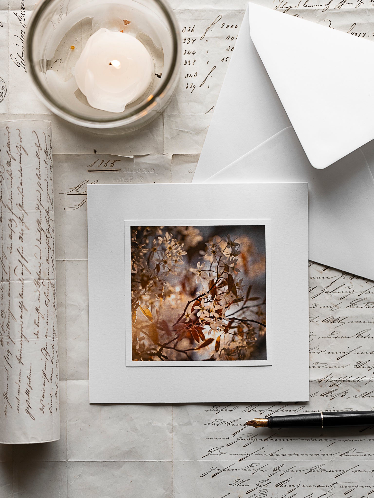 Zarte Felsenbirnenblüten im warmen Sonnenlicht – Trauerkarte mit naturfotografischem Motiv