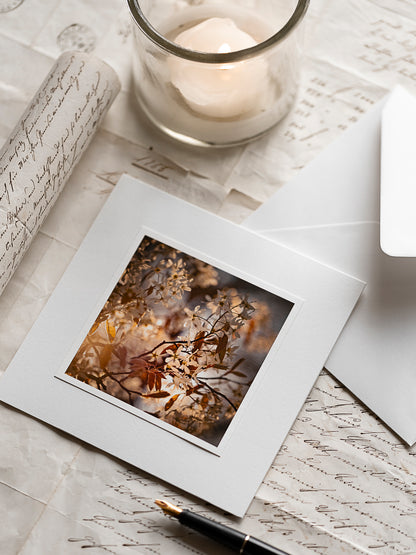 Felsenbirnenblüten im Sonnenlicht – Trauerkarte mit Einlegeblatt und Textvorlage