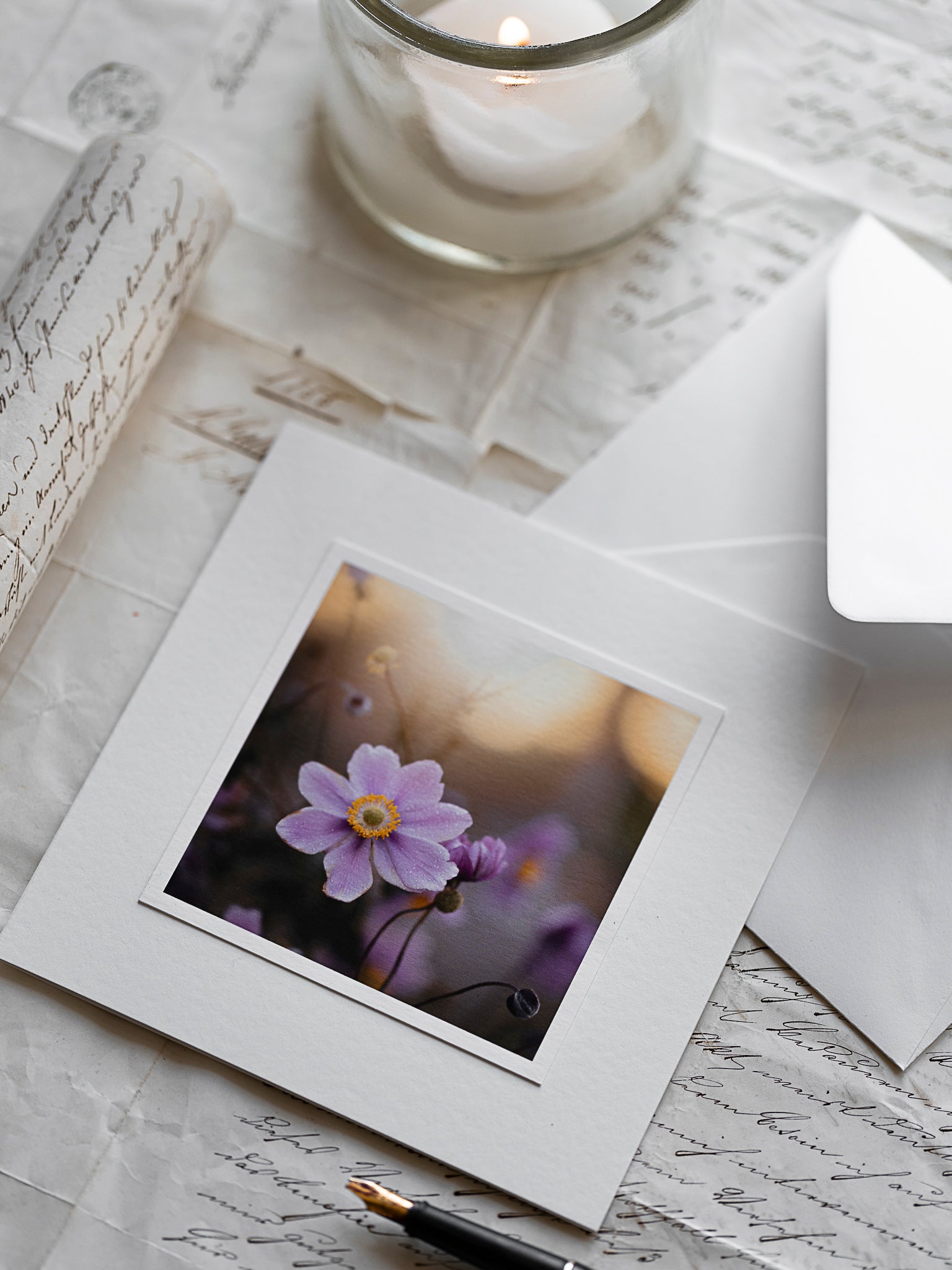 Trauerkarte Herbstanemone im Morgenlicht - Kartenunikat Schweiz