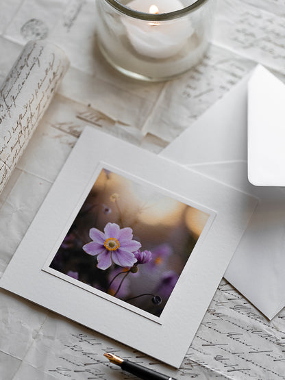 Trauerkarte Herbstanemone im Morgenlicht - Kartenunikat Schweiz