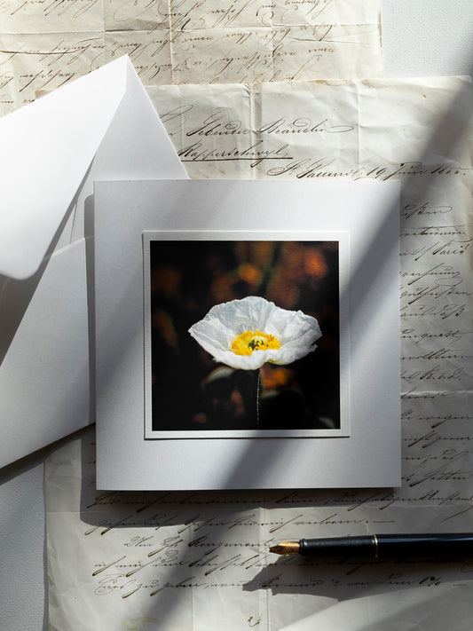 Trauerkarte weisser Mohn