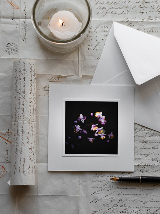 Trauerkarte Wiesenraute im Mondlicht - Kartenunikat Schweiz