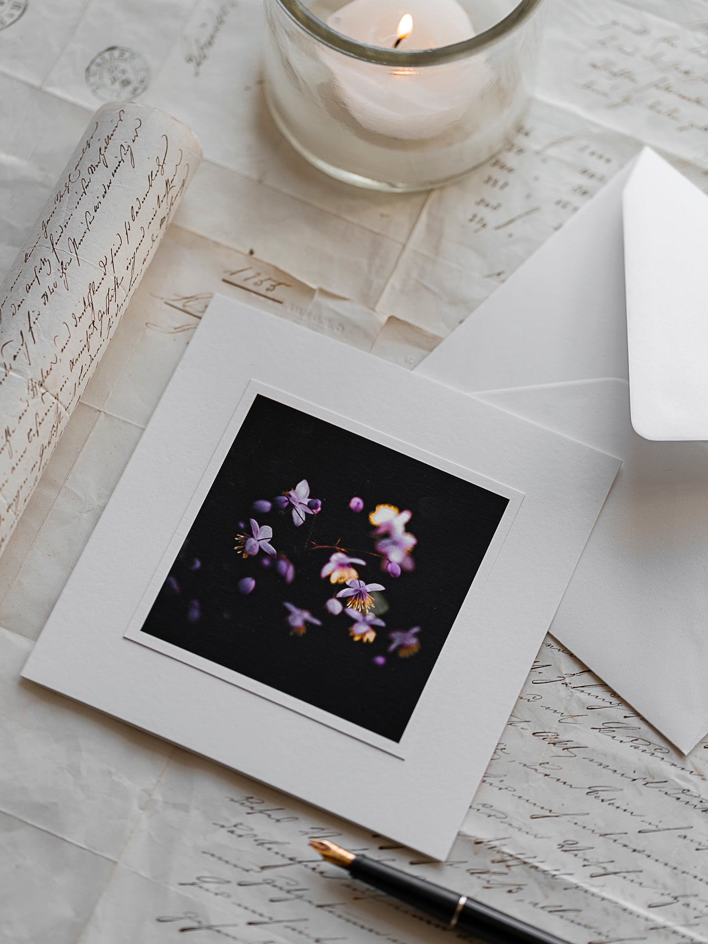 Trauerkarte Wiesenraute im Mondlicht - Kartenunikat Schweiz