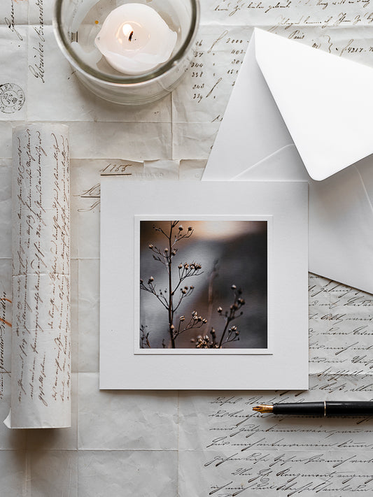 Trauerkarte mit zarten Winterblütenständen im sanften Licht auf Hahnemühlepapier