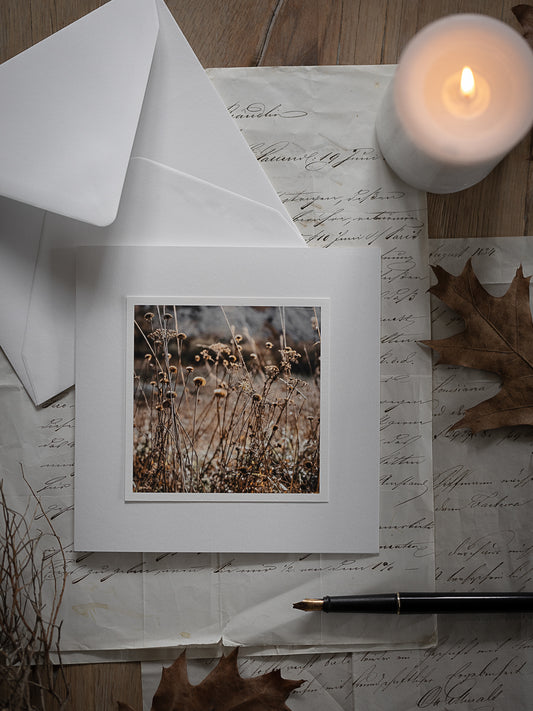 Trauerkarte stille Natur im Herbstlicht
