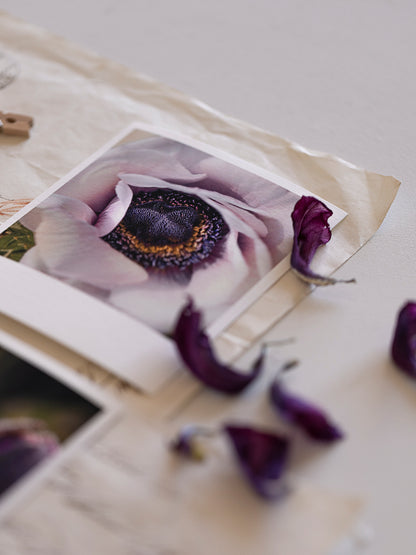Die kleinen Feinen Violetta