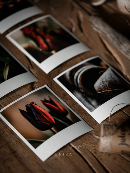 Die kleinen Feinen Tulpenrot