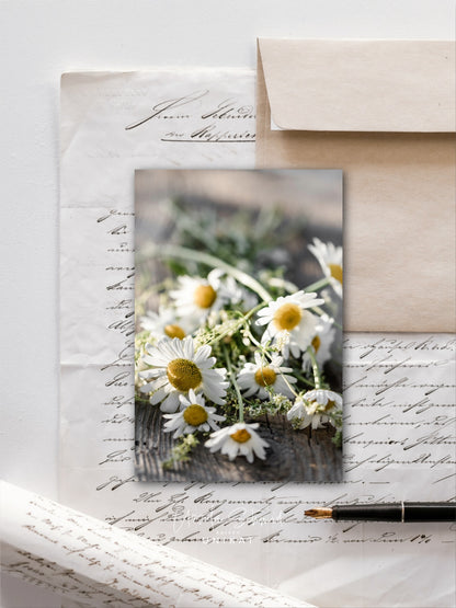 Sommerglück Postkartenset