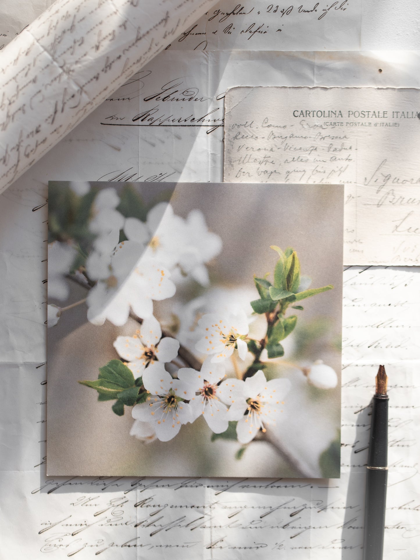 Von edler Art Prunus spinosa