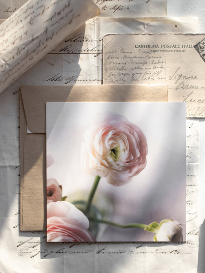 Von edler Art Ranunkelrosa