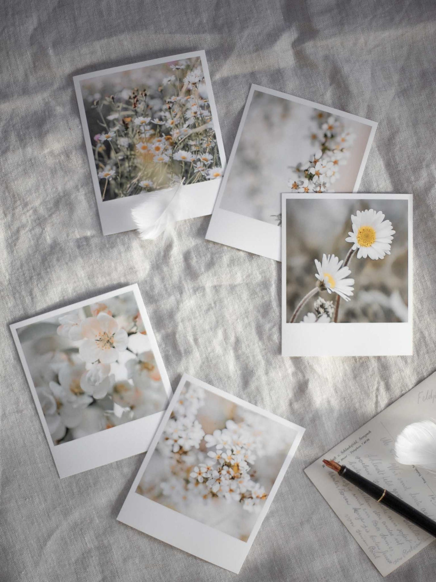 Die kleinen Feinen Blütenpracht