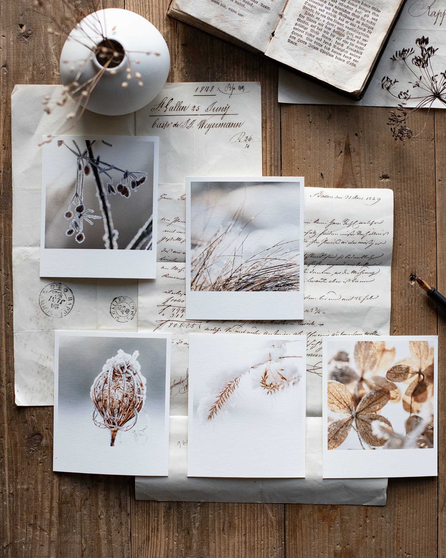 Die kleinen Feinen Winterstill