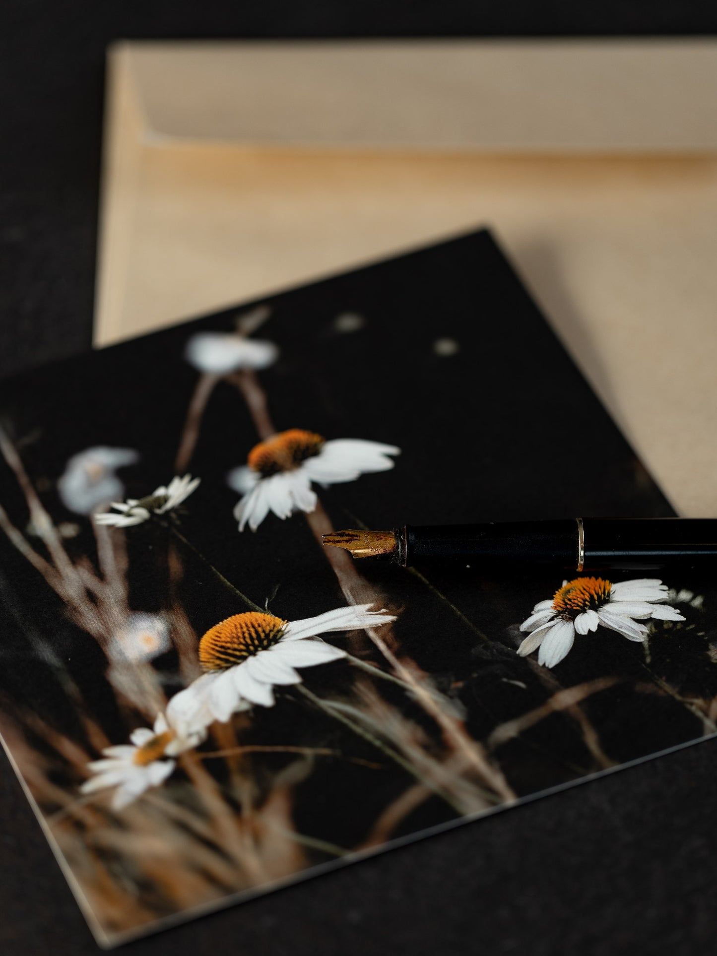 Von edler Art Echinacea